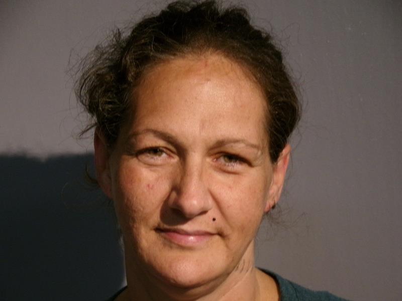 Mugshot of Tracey Denise Dye booked in Washington County, Virginia on August 11, 2026