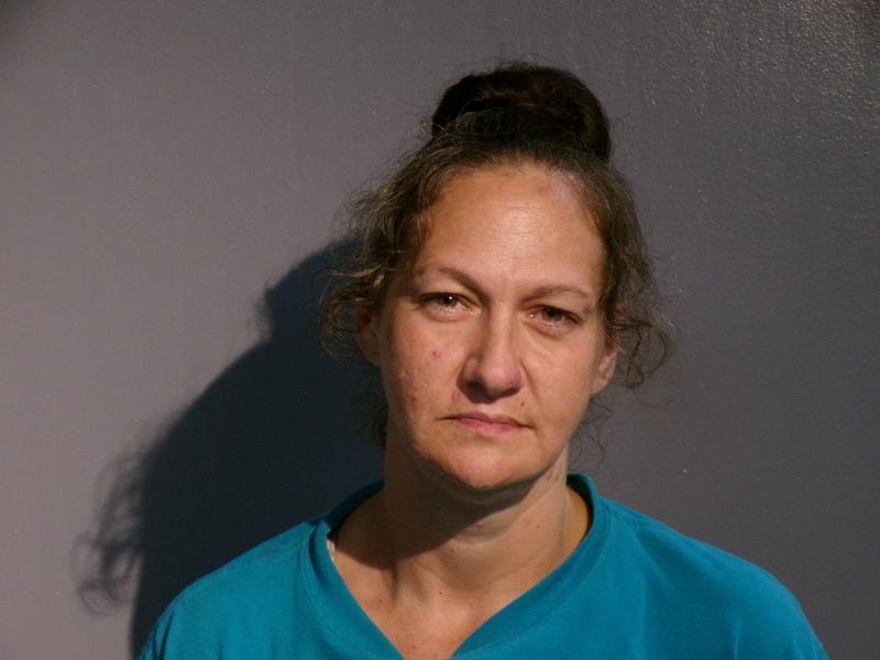 Mugshot of Tracey Denise Dye booked in Washington County, Virginia on October 13, 2026