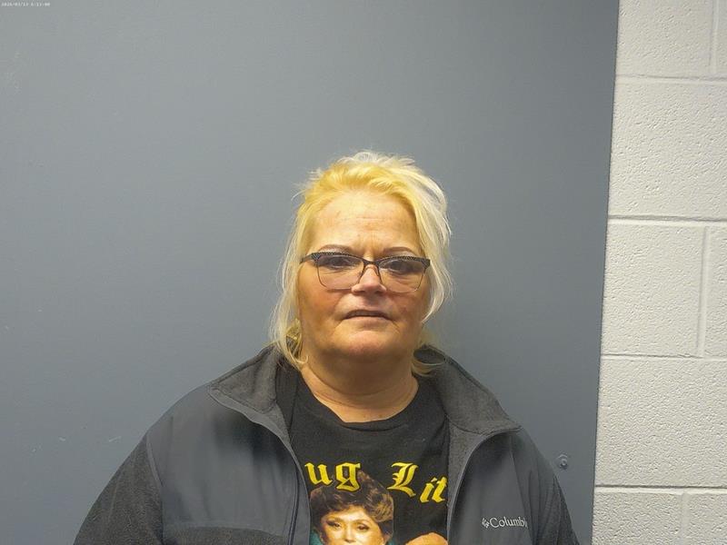Mugshot of Trisha Lee Howell booked in Washington County, Virginia on March 13, 2026