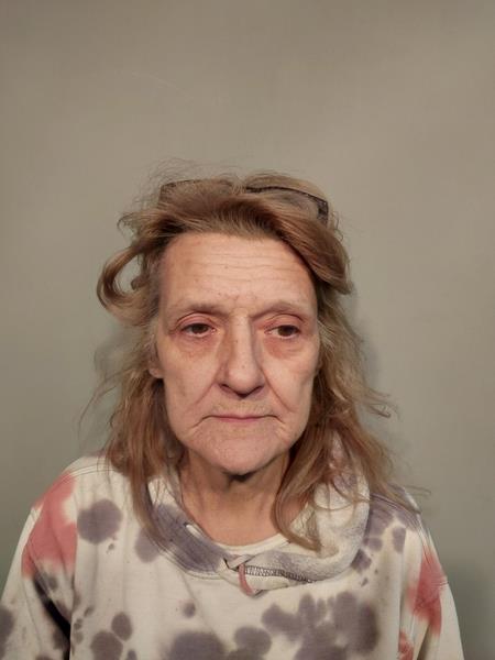 Mugshot of Tamara Lynn Holbrook booked in Washington County, Virginia on March 30, 2026