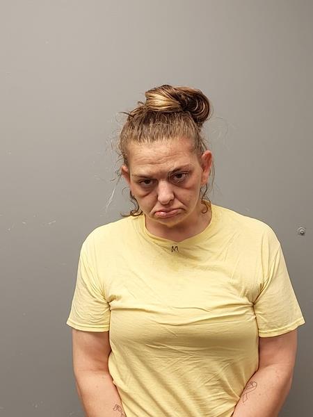 Booking photo from Washington County, Virginia