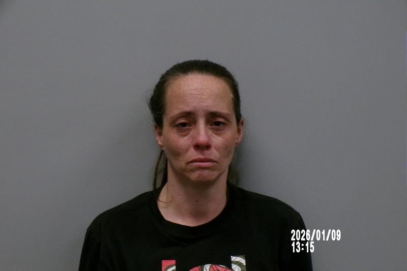 Booking photo from Washington County, Virginia