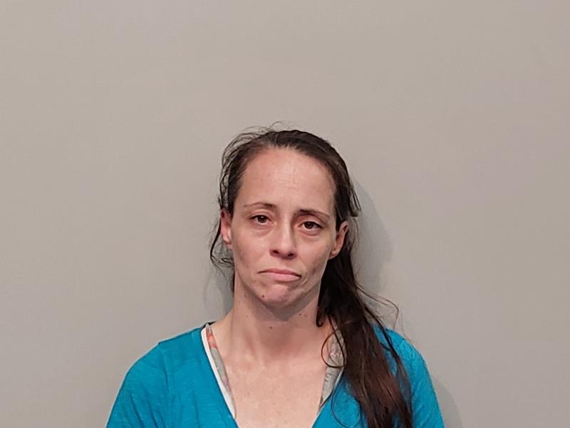 Mugshot of Tyger Jade Perkins booked in Washington County, Virginia on June 26, 2026