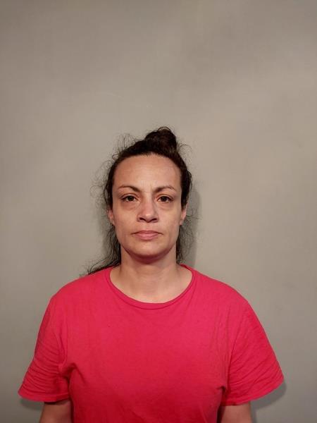 Mugshot of Victoria Nicole Parsons booked in Washington County, Virginia on May 12, 2026