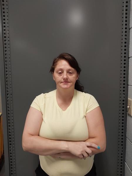 Mugshot of Wilma Luan Harvey-Williams booked in Washington County, Virginia on August 7, 2026