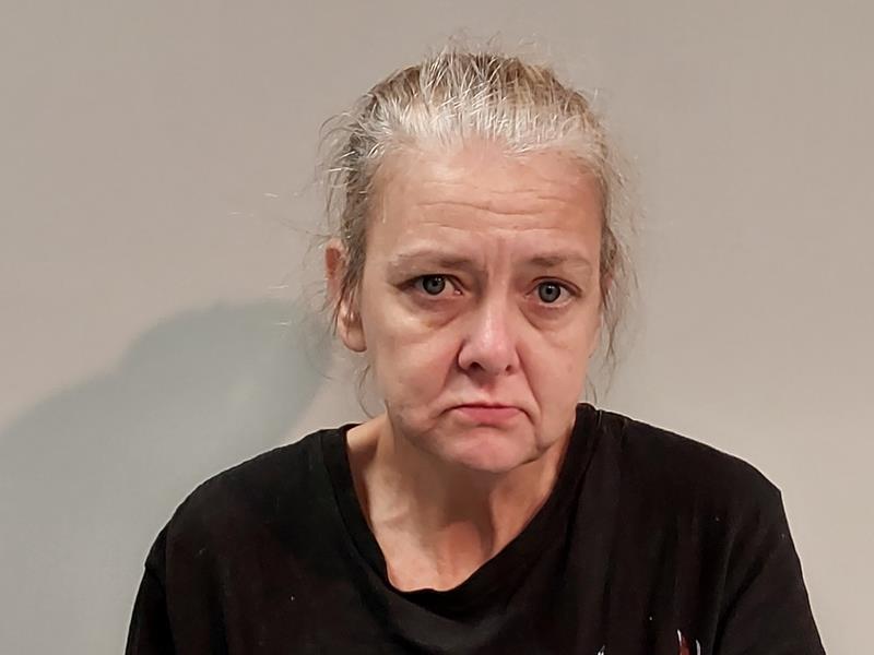 Mugshot of Nicole Joy Perez booked in Washington County, Virginia on October 9, 2026