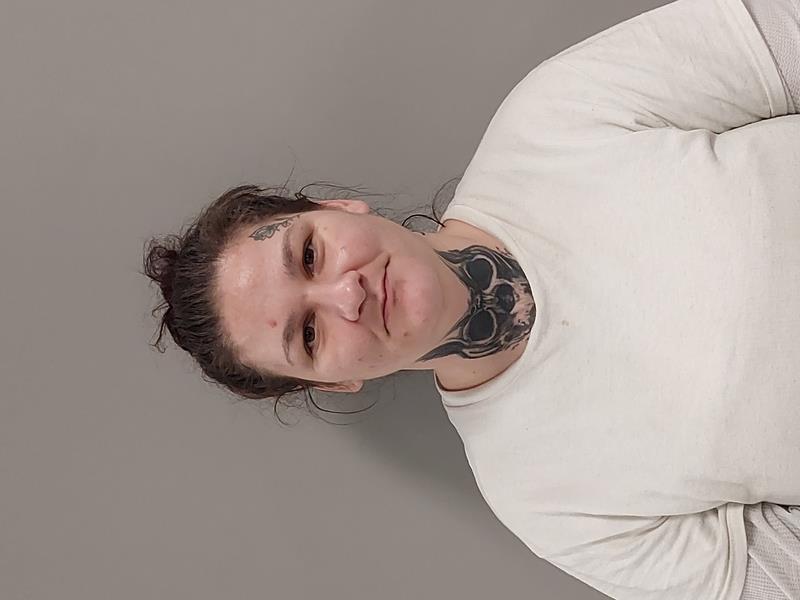 Mugshot of Amy Elizabeth Cox booked in Wise County, Virginia on October 28, 2026