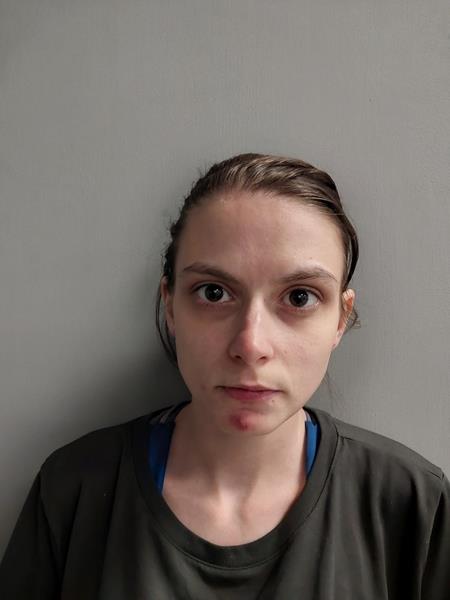 Mugshot of Ariana LaShae Gilvin booked in Wise County, Virginia on July 6, 2026