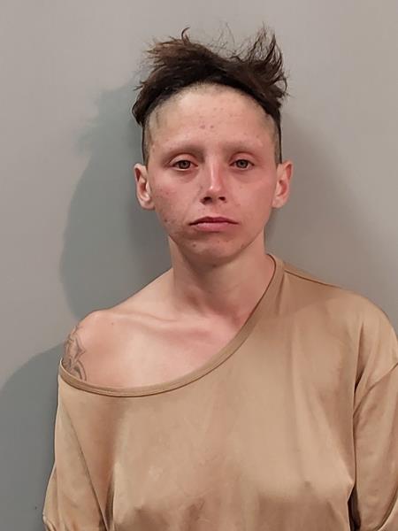 Mugshot of Alexis Nicole Huffman booked in Wise County, Virginia on October 6, 2026