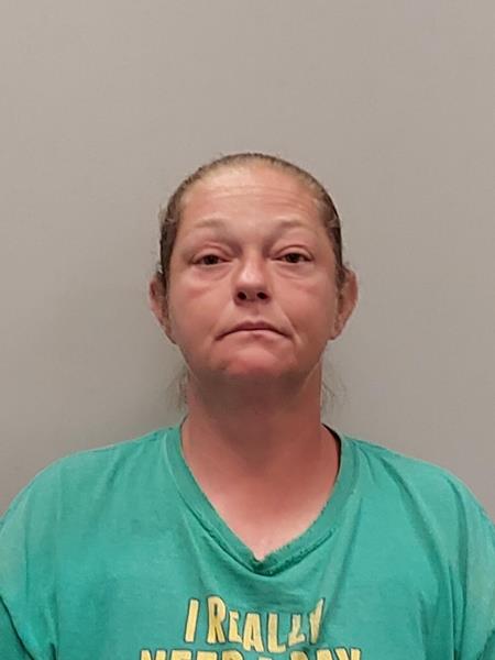 Mugshot of Amanda Christina Hawkins booked in Wise County, Virginia on June 15, 2026