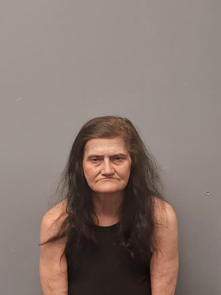 Mugshot of Angela Denise Kidd booked in Wise County, Virginia on April 8, 2026
