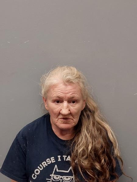 Mugshot of Audrey Janet Lewis booked in Wise County, Virginia on October 25, 2026