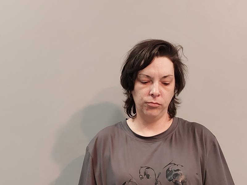 Mugshot of Ashley Christine Phillips booked in Wise County, Virginia on August 18, 2026