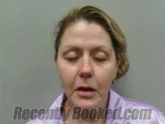 Booking photo from Wise County, Virginia