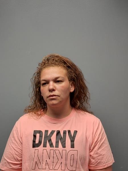 Mugshot of BRITTANY RANAE DENNIS booked in Wise County, Virginia on April 17, 2026