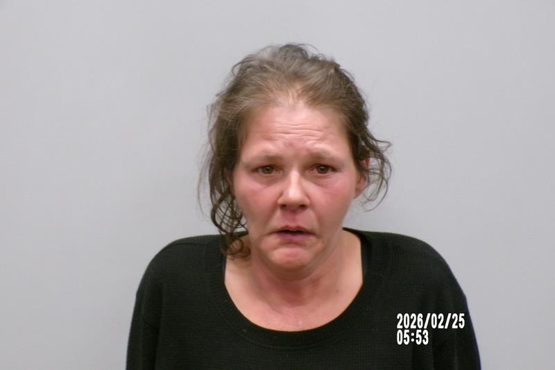 Mugshot of Christy M James