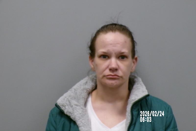 Mugshot of Crystal Ann Owens