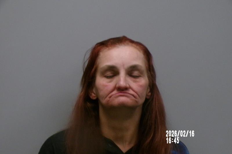 Mugshot of ELIZABETH ANN BORSCHELLE