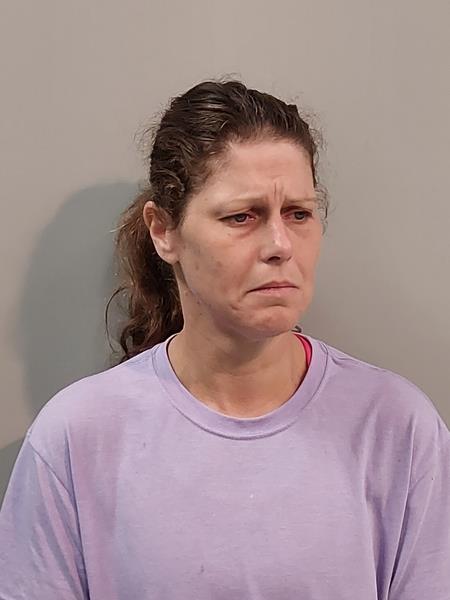 Mugshot of Elizabeth Catherine Davis booked in Wise County, Virginia on October 6, 2026