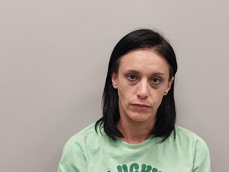 Mugshot of ELIZABETH ANN GARLAN booked in Wise County, Virginia on April 17, 2026