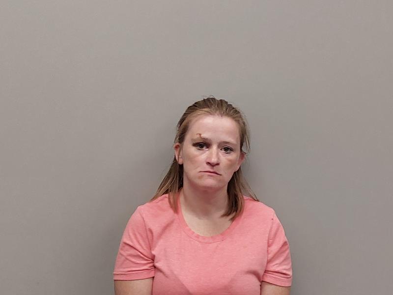 Mugshot of Frances Gayle Grant booked in Wise County, Virginia on June 12, 2026