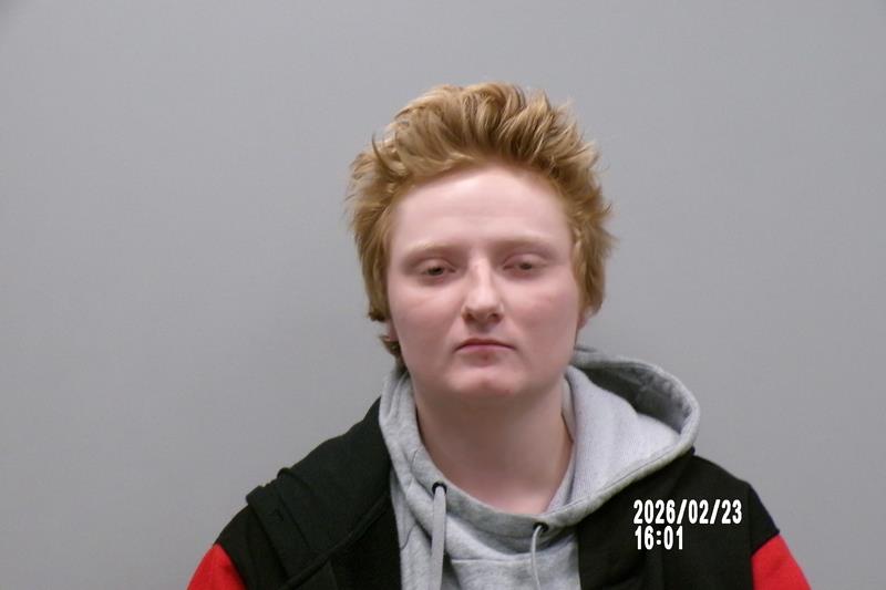 Mugshot of Haley N Seats