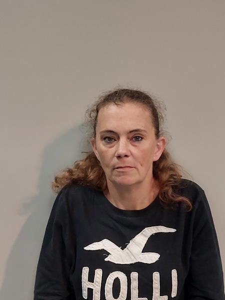 Mugshot of Jaime Rae Davidson booked in Wise County, Virginia on October 19, 2026