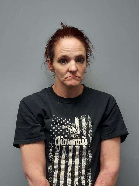 Mugshot of Jessica Lynn Elder booked in Wise County, Virginia on April 20, 2026