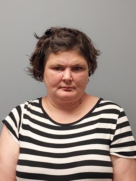 Mugshot of Jamie Lou-Anne Lough booked in Wise County, Virginia on October 9, 2026