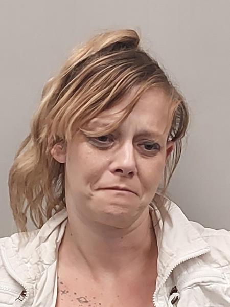 Mugshot of Kristina Henegar