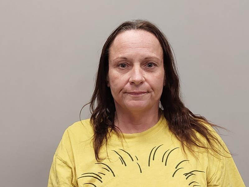 Mugshot of Kristie Nell Hayes booked in Wise County, Virginia on April 17, 2026