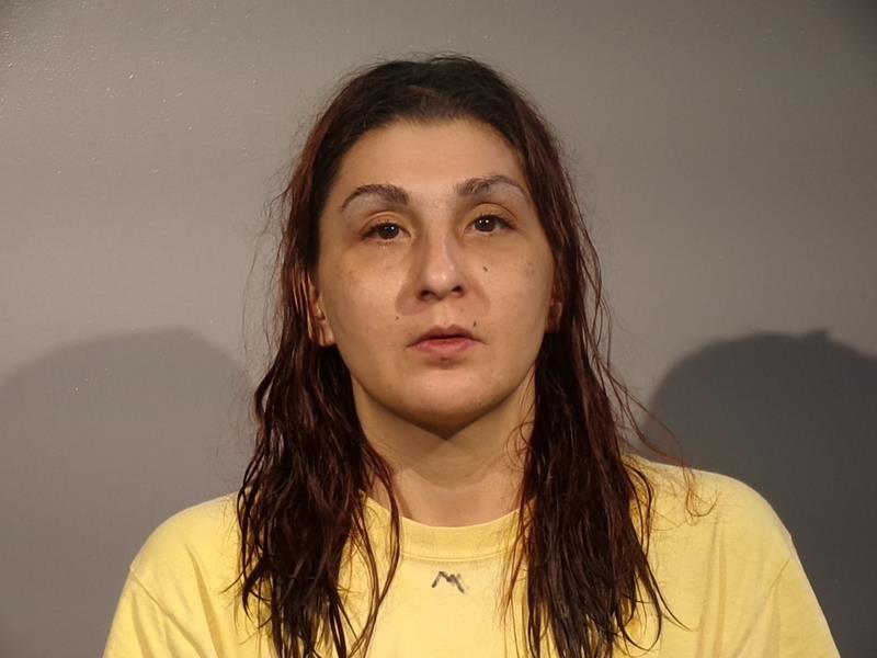 Mugshot of Melissa Gale Bolling