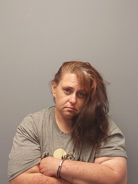 Mugshot of Mary Beth Blevins WOOD booked in Wise County, Virginia on June 14, 2026