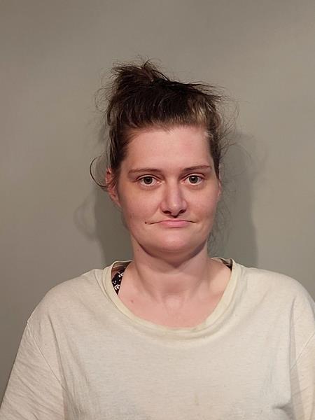 Mugshot of Megan Leeann Christian booked in Wise County, Virginia on August 4, 2026