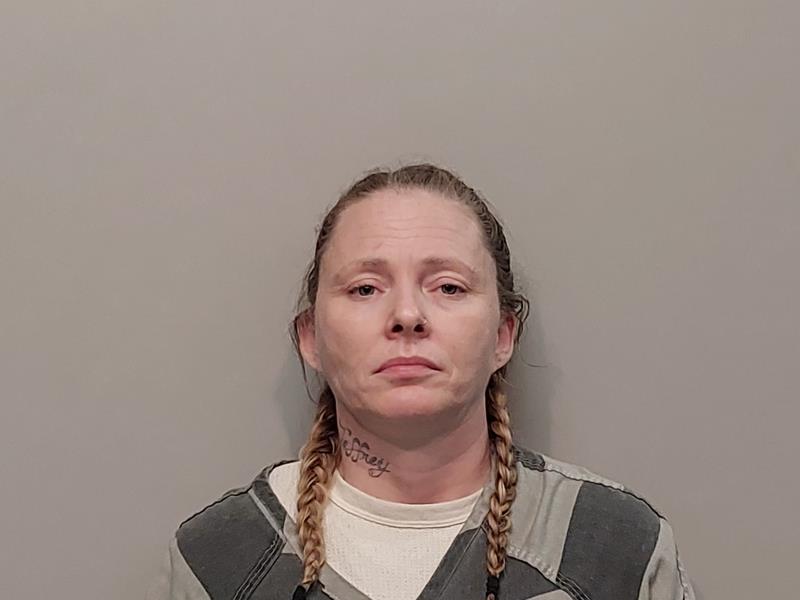 Mugshot of Mary Ann Frye booked in Wise County, Virginia on June 26, 2026