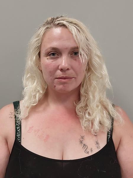 Mugshot of Mary Elizabeth Gales booked in Wise County, Virginia on October 20, 2026
