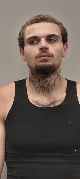 Mugshot of Mason J.A. Plescher