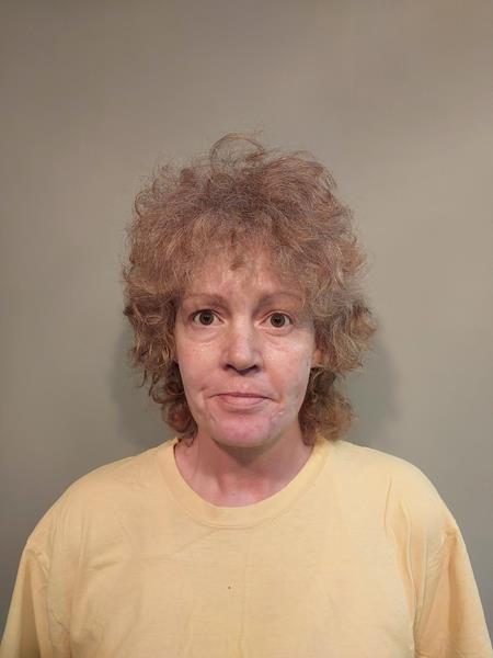 Mugshot of Melonie Ann Powers booked in Wise County, Virginia on April 17, 2026