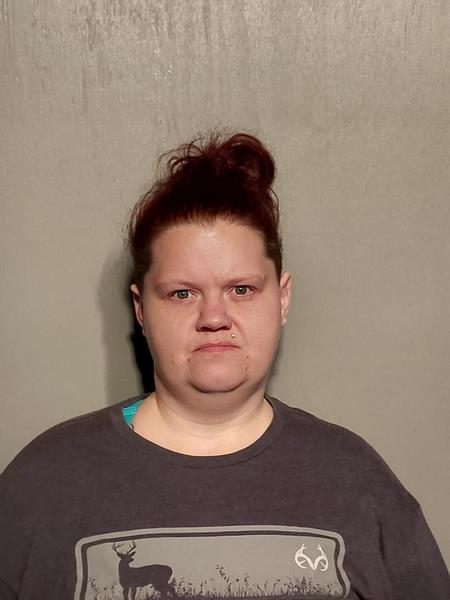 Mugshot of Megan Brooke Taylor booked in Wise County, Virginia on October 8, 2026