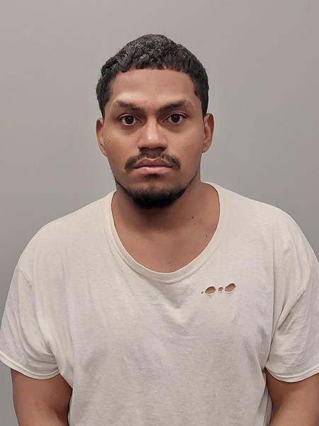 Mugshot of Orlin Rodolfo Martinez- Alvarez