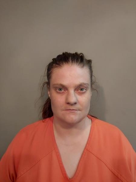 Mugshot of Rebecca Lynn Ballard booked in Wise County, Virginia on June 10, 2026