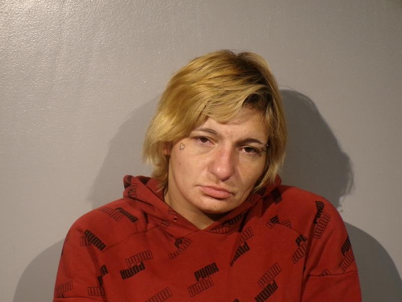 Mugshot of Rebecca Jean Powers booked in Wise County, Virginia on April 21, 2026