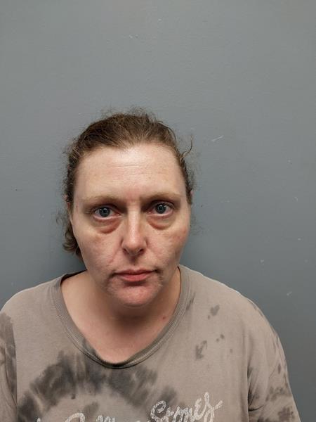 Mugshot of REBICCA ANN PICKETT booked in Wise County, Virginia on June 13, 2026