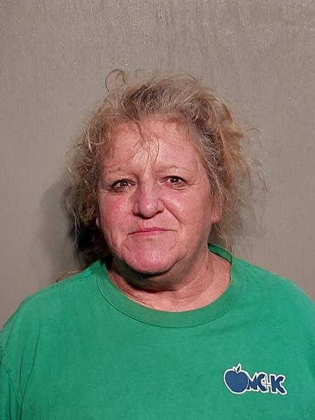 Mugshot of Sarah Joan Bledsoe booked in Wise County, Virginia on September 24, 2026