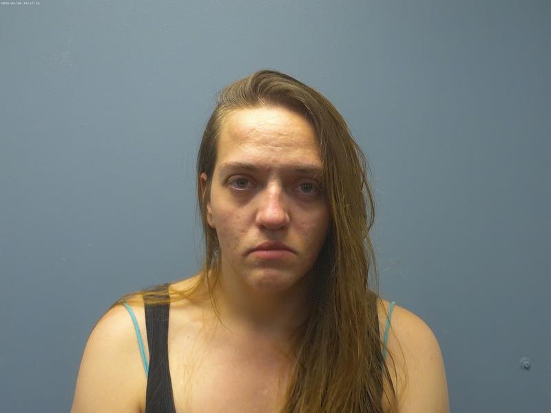 Mugshot of SARAH LYNN HALE GOINS