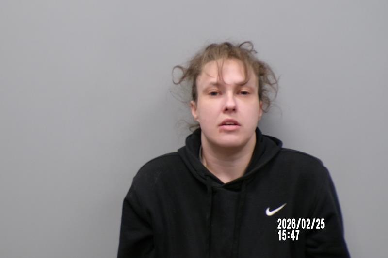 Mugshot of Stevie Kaylea Harless