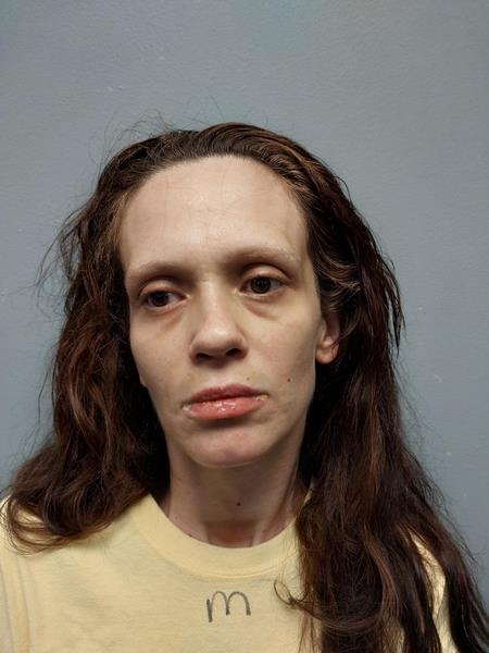 Mugshot of Samantha Marie Harold booked in Wise County, Virginia on August 13, 2026