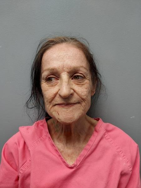 Mugshot of Sherry Lynn Harmon