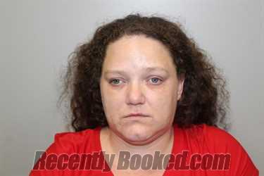 Booking photo from Wise County, Virginia