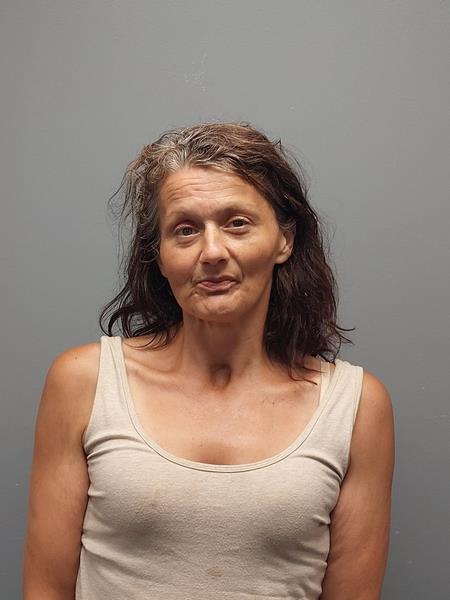 Mugshot of Shelly Marie Robinette booked in Wise County, Virginia on June 29, 2026